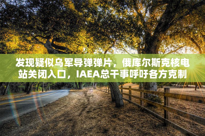 发现疑似乌军导弹弹片，俄库尔斯克核电站关闭入口，IAEA总干事呼吁各方克制