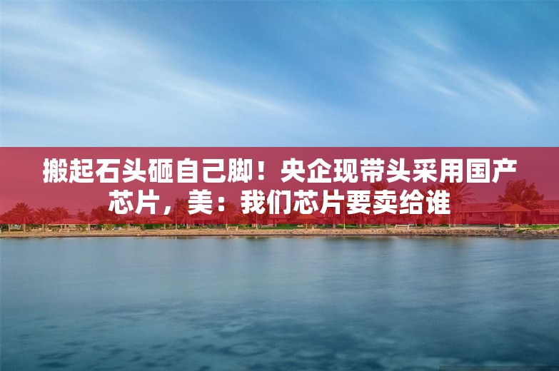 搬起石头砸自己脚！央企现带头采用国产芯片，美：我们芯片要卖给谁