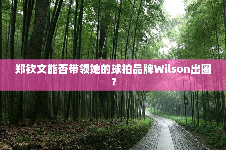 郑钦文能否带领她的球拍品牌Wilson出圈？