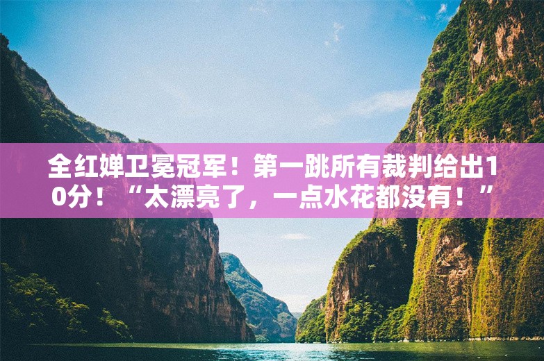 全红婵卫冕冠军！第一跳所有裁判给出10分！“太漂亮了，一点水花都没有！”