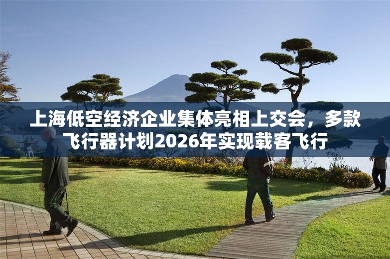 上海低空经济企业集体亮相上交会，多款飞行器计划2026年实现载客飞行