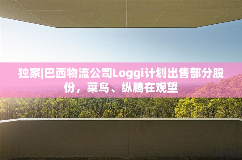 独家|巴西物流公司Loggi计划出售部分股份，菜鸟、纵腾在观望