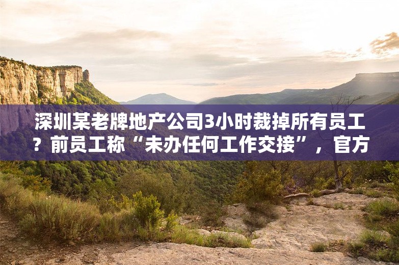 深圳某老牌地产公司3小时裁掉所有员工？前员工称“未办任何工作交接”，官方已下达整改通知书，办公现场已无对接人