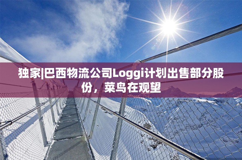 独家|巴西物流公司Loggi计划出售部分股份，菜鸟在观望