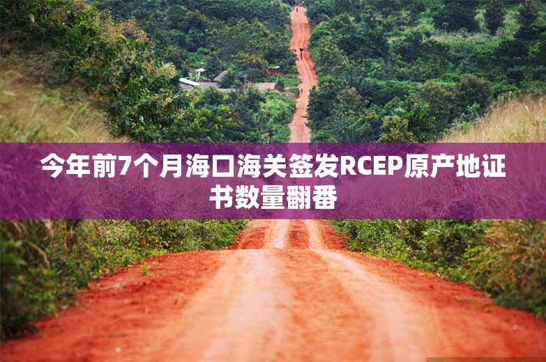 今年前7个月海口海关签发RCEP原产地证书数量翻番