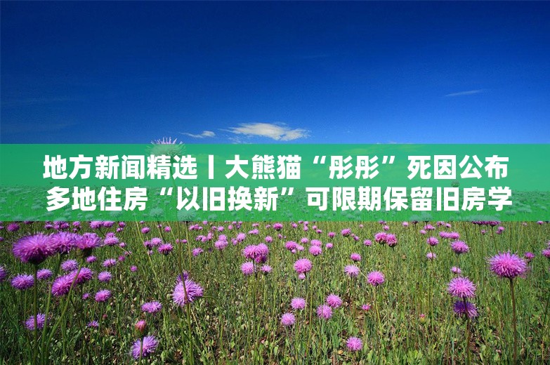 地方新闻精选丨大熊猫“彤彤”死因公布 多地住房“以旧换新”可限期保留旧房学区