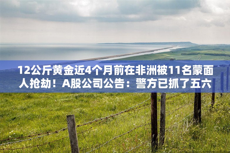 12公斤黄金近4个月前在非洲被11名蒙面人抢劫！A股公司公告：警方已抓了五六个人，黄金去向未明