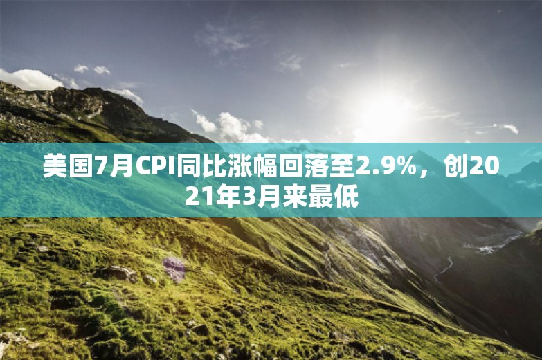 美国7月CPI同比涨幅回落至2.9%，创2021年3月来最低