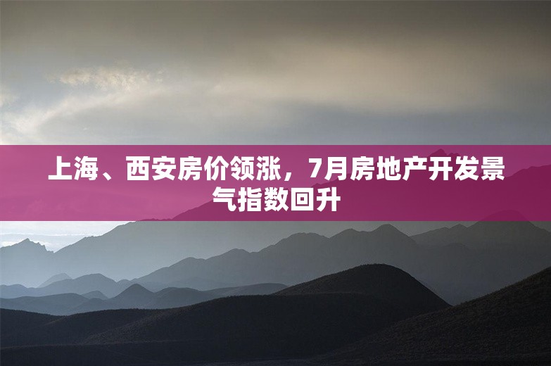 上海、西安房价领涨，7月房地产开发景气指数回升