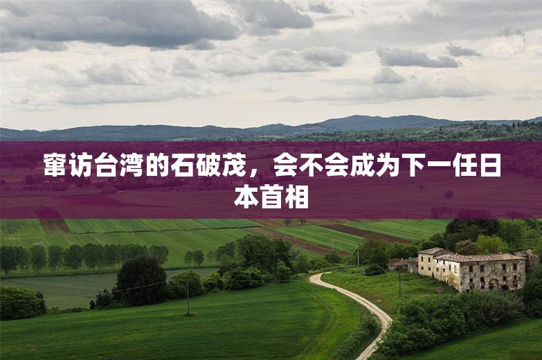 窜访台湾的石破茂，会不会成为下一任日本首相