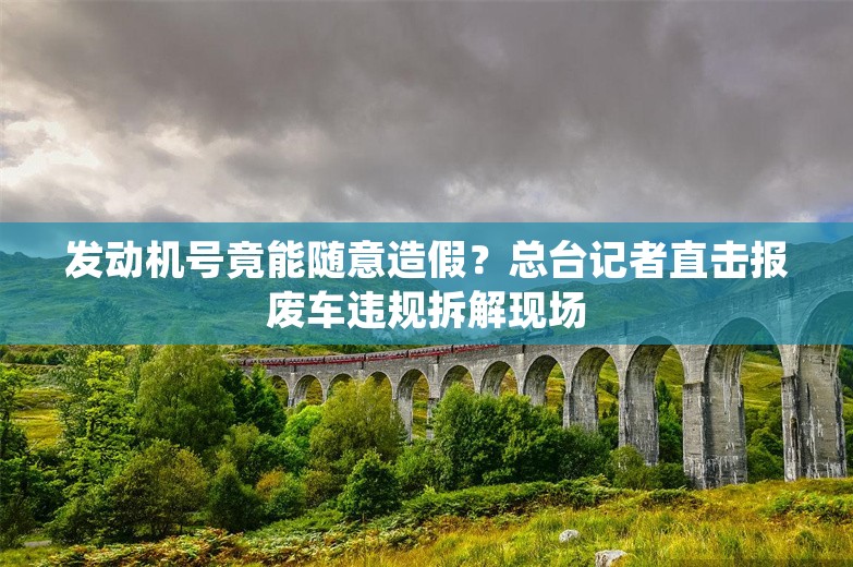 发动机号竟能随意造假？总台记者直击报废车违规拆解现场