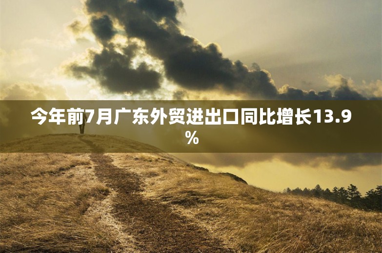 今年前7月广东外贸进出口同比增长13.9%