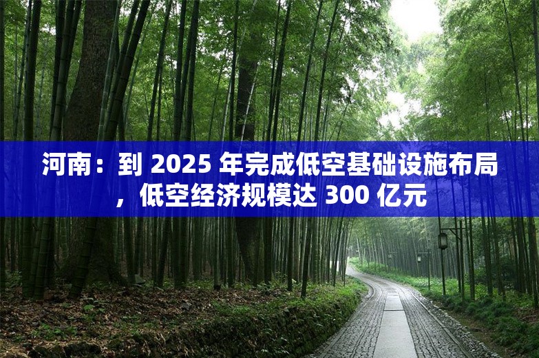 河南：到 2025 年完成低空基础设施布局，低空经济规模达 300 亿元