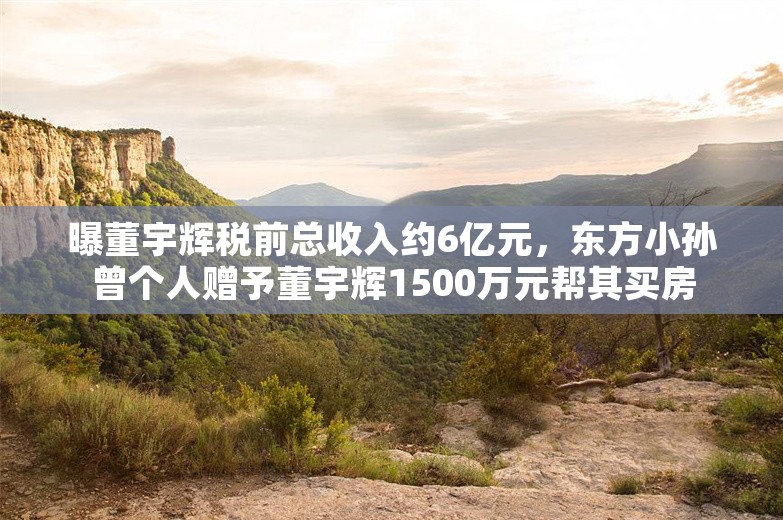 曝董宇辉税前总收入约6亿元，东方小孙曾个人赠予董宇辉1500万元帮其买房