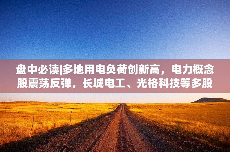 盘中必读|多地用电负荷创新高，电力概念股震荡反弹，长城电工、光格科技等多股涨停