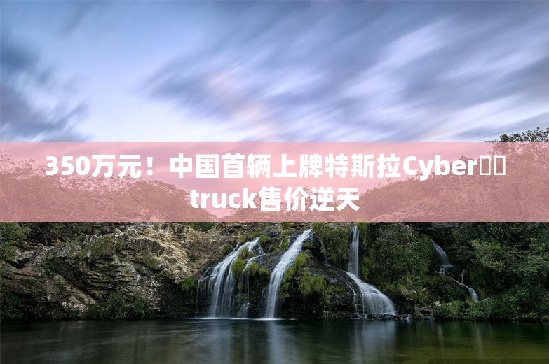 350万元！中国首辆上牌特斯拉Cyber​​truck售价逆天