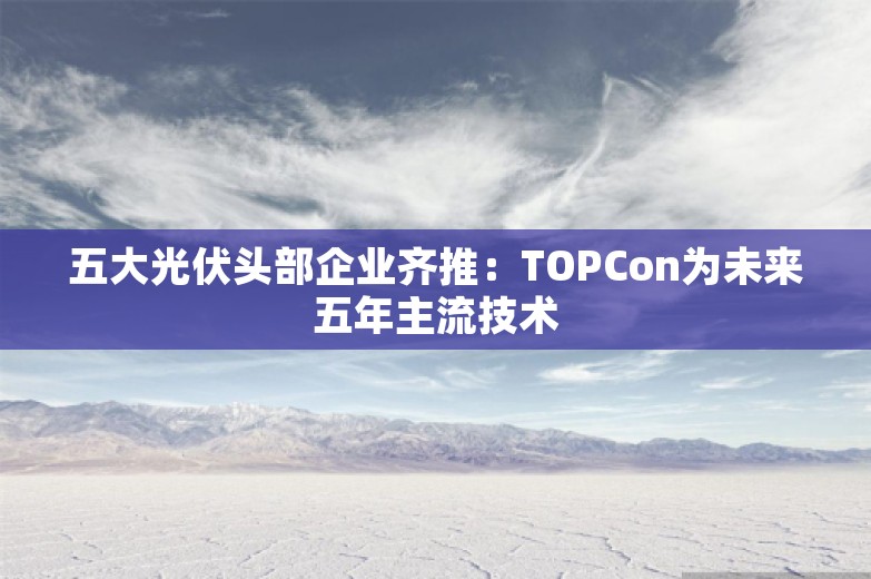 五大光伏头部企业齐推：TOPCon为未来五年主流技术