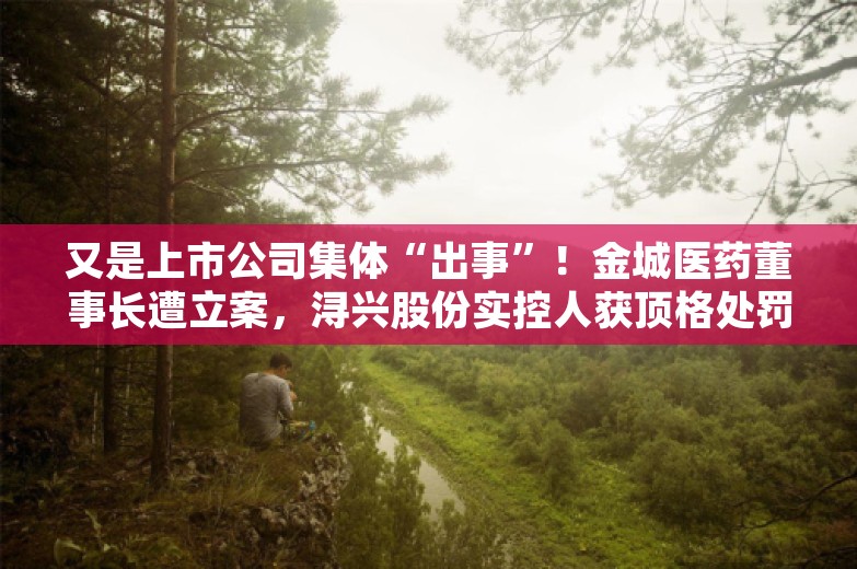 又是上市公司集体“出事”！金城医药董事长遭立案，浔兴股份实控人获顶格处罚