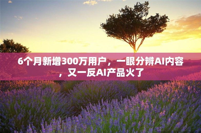 6个月新增300万用户，一眼分辨AI内容，又一反AI产品火了