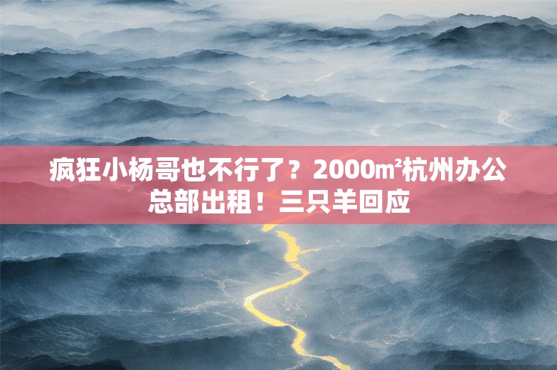 疯狂小杨哥也不行了？2000㎡杭州办公总部出租！三只羊回应