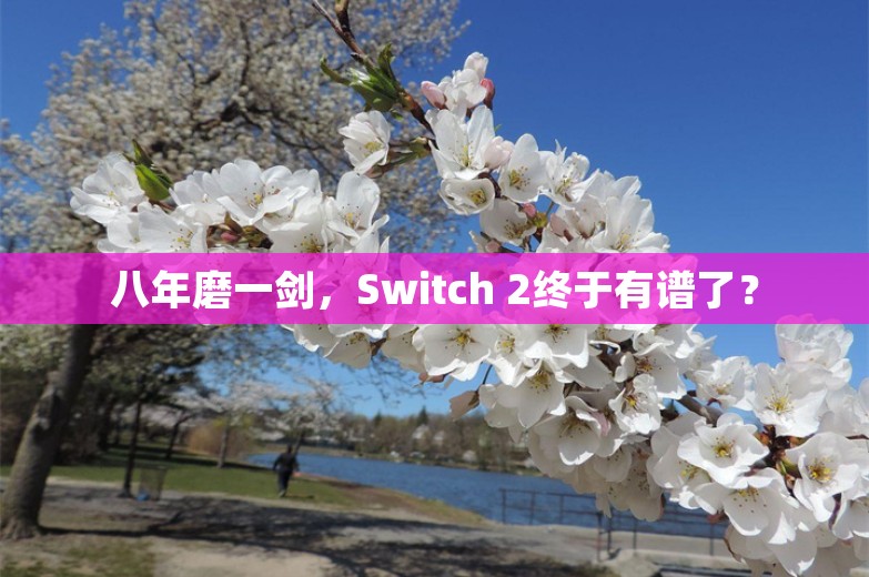 八年磨一剑，Switch 2终于有谱了？