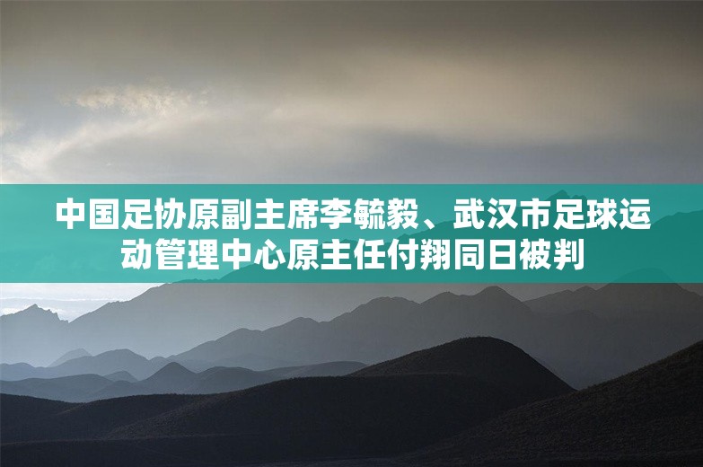 中国足协原副主席李毓毅、武汉市足球运动管理中心原主任付翔同日被判