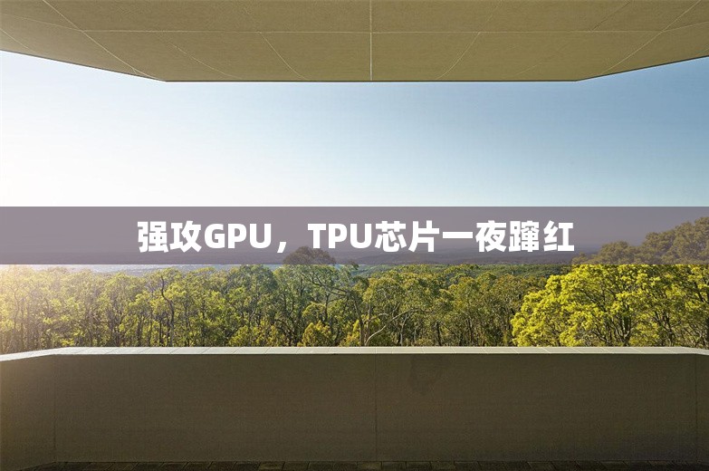 强攻GPU，TPU芯片一夜蹿红