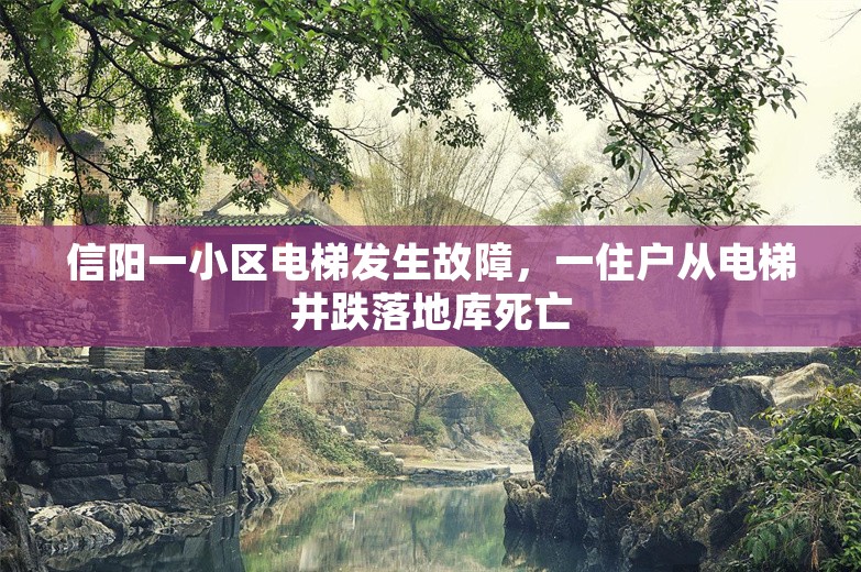 信阳一小区电梯发生故障，一住户从电梯井跌落地库死亡