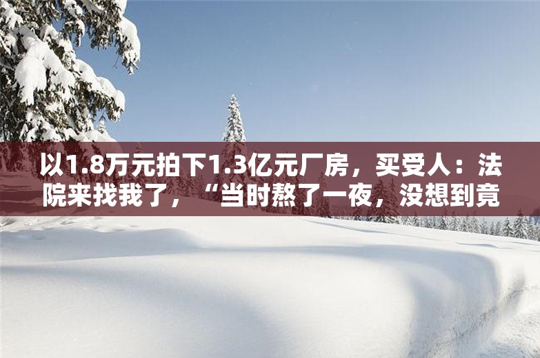 以1.8万元拍下1.3亿元厂房，买受人：法院来找我了，“当时熬了一夜，没想到竟真的竞拍成功”