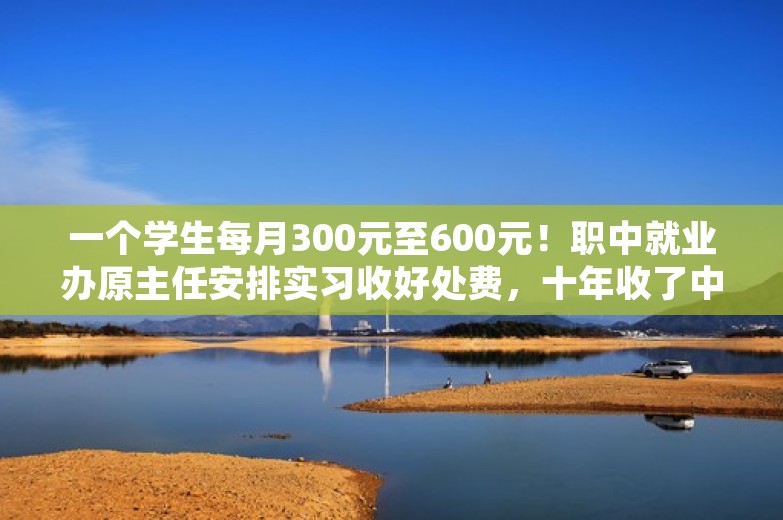 一个学生每月300元至600元！职中就业办原主任安排实习收好处费，十年收了中介等255万元