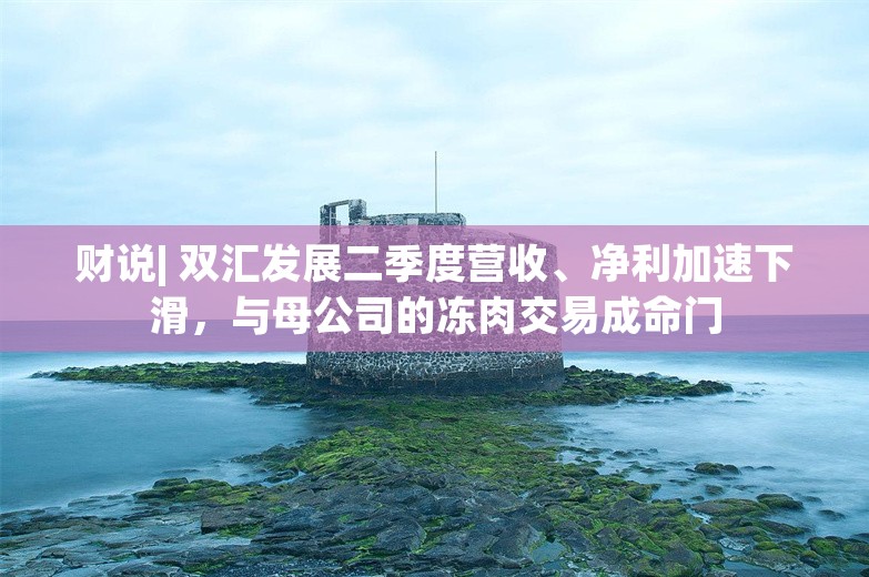 财说| 双汇发展二季度营收、净利加速下滑，与母公司的冻肉交易成命门