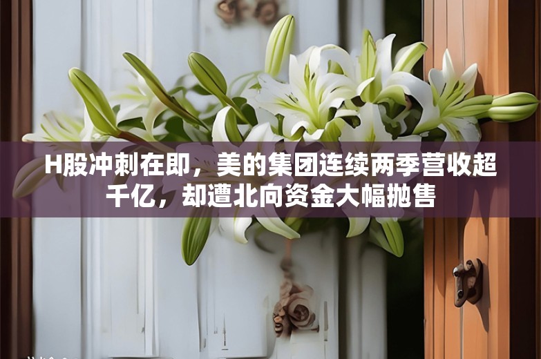 H股冲刺在即，美的集团连续两季营收超千亿，却遭北向资金大幅抛售