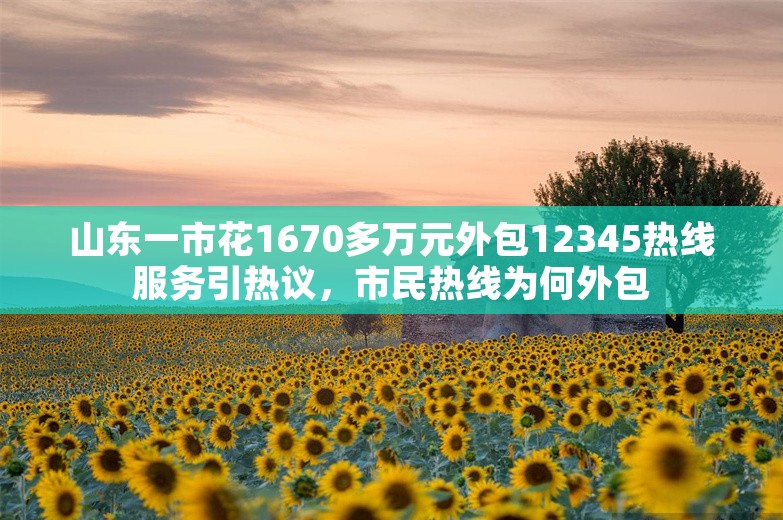 山东一市花1670多万元外包12345热线服务引热议，市民热线为何外包