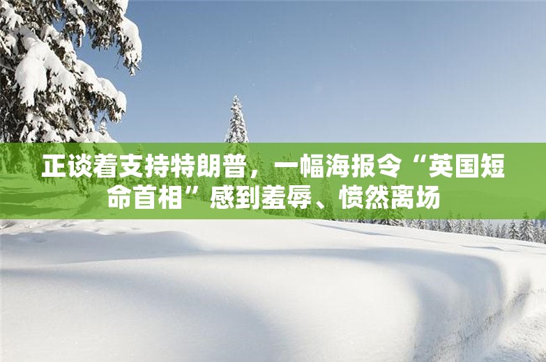 正谈着支持特朗普，一幅海报令“英国短命首相”感到羞辱、愤然离场