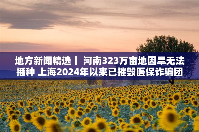 地方新闻精选丨 河南323万亩地因旱无法播种 上海2024年以来已摧毁医保诈骗团伙9个