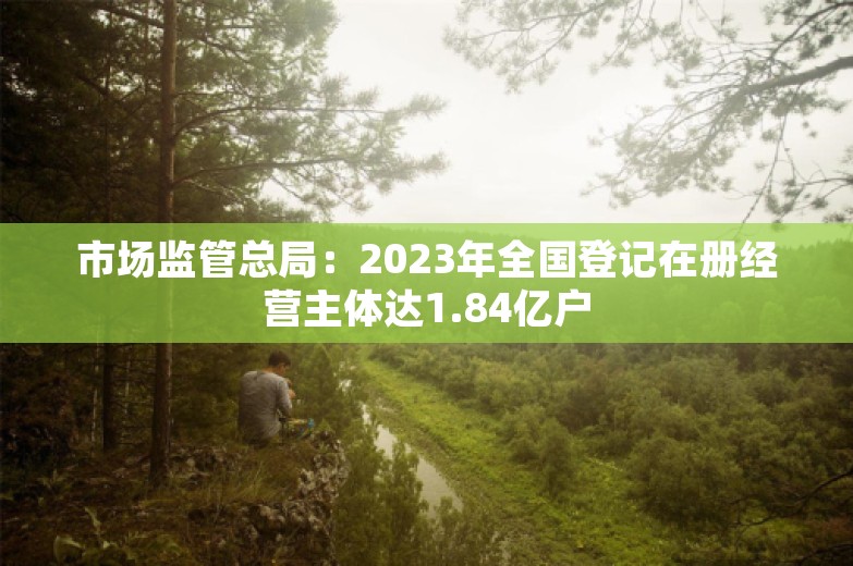 市场监管总局：2023年全国登记在册经营主体达1.84亿户