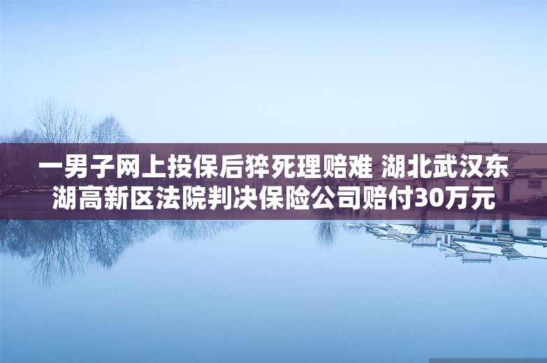 一男子网上投保后猝死理赔难 湖北武汉东湖高新区法院判决保险公司赔付30万元