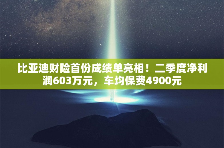 比亚迪财险首份成绩单亮相！二季度净利润603万元，车均保费4900元