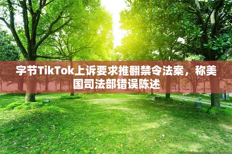 字节TikTok上诉要求推翻禁令法案，称美国司法部错误陈述