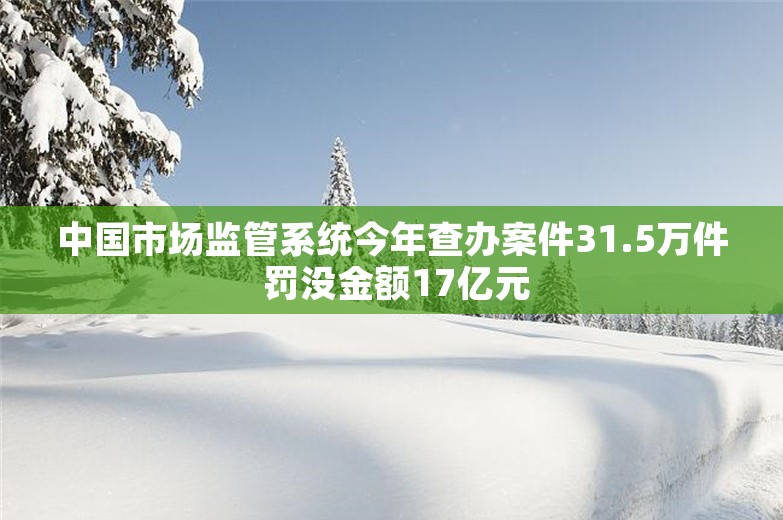 中国市场监管系统今年查办案件31.5万件 罚没金额17亿元