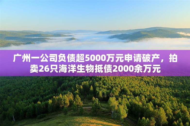 广州一公司负债超5000万元申请破产，拍卖26只海洋生物抵债2000余万元