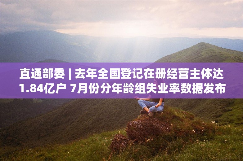 直通部委 | 去年全国登记在册经营主体达1.84亿户 7月份分年龄组失业率数据发布