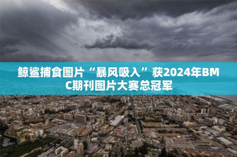 鲸鲨捕食图片“暴风吸入”获2024年BMC期刊图片大赛总冠军