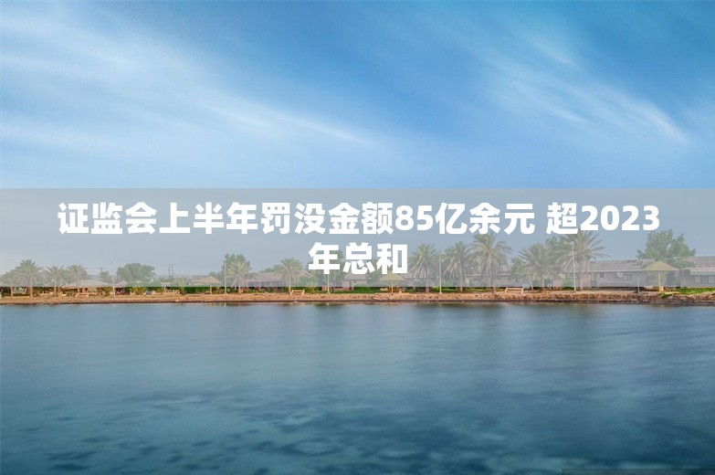 证监会上半年罚没金额85亿余元 超2023年总和