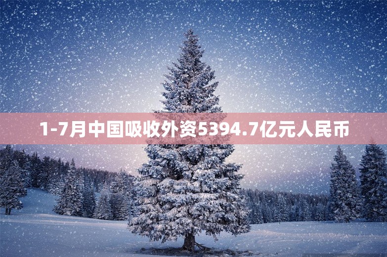 1-7月中国吸收外资5394.7亿元人民币