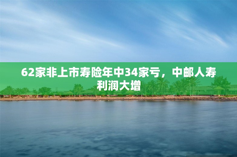 62家非上市寿险年中34家亏，中邮人寿利润大增