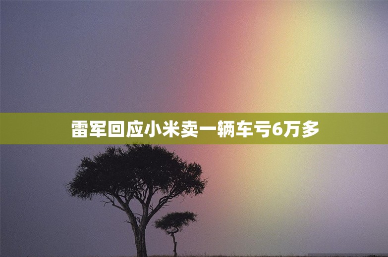 雷军回应小米卖一辆车亏6万多