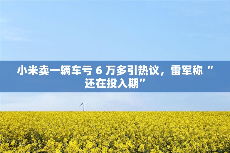 小米卖一辆车亏 6 万多引热议，雷军称“还在投入期”