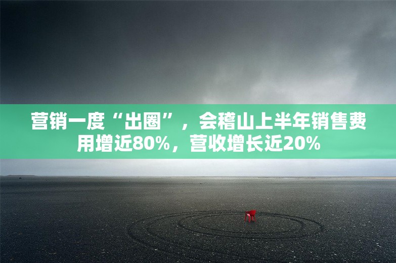 营销一度“出圈”，会稽山上半年销售费用增近80%，营收增长近20%