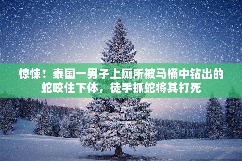 惊悚！泰国一男子上厕所被马桶中钻出的蛇咬住下体，徒手抓蛇将其打死